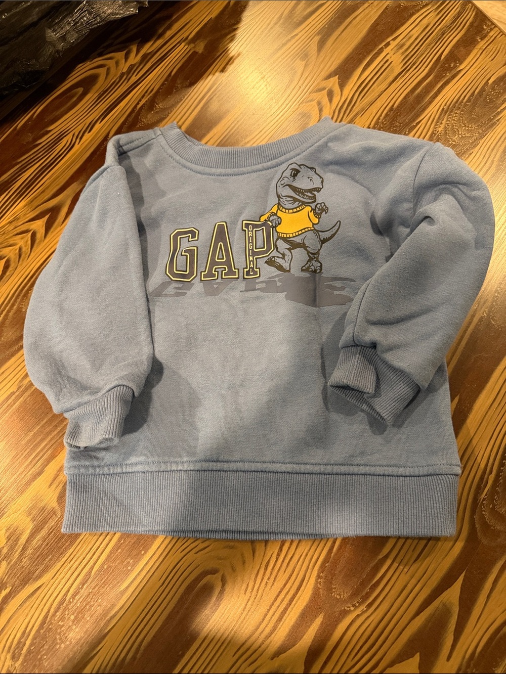 GAP Light Blue Kids Sweatshirt with Yellow Dino Graphic